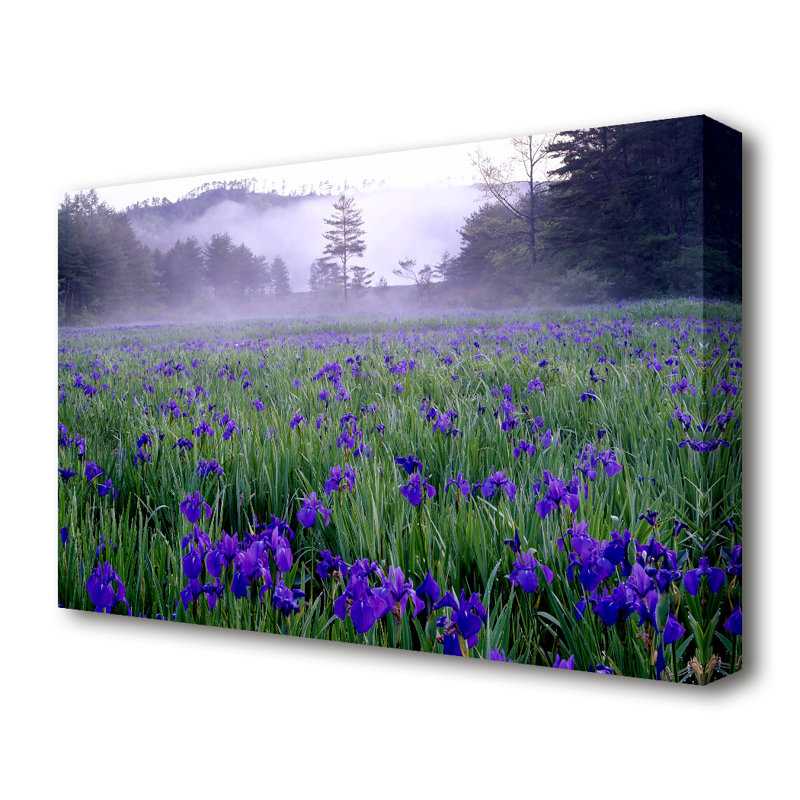 East Urban Home Bluebell Mist Forest Canvas Print Wall Art Wayfair.co.uk